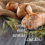 Vetés, érés, aratás Délen